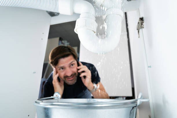 Best Local Plumber Services  in West Hamburg, PA